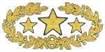 Insigne de général de l'armée sudiste CSAGeneral
