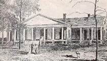 4_Brierfield_Plantation