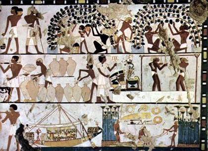 Viticulture et vinification dans lEgypte .antique