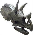 cranetriceratops