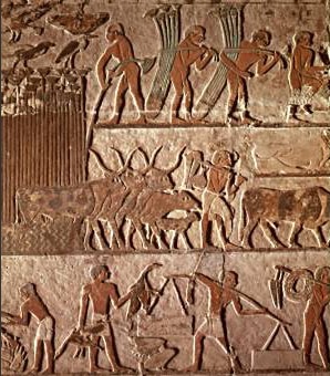 Γεωργικές πρακτικές στην αρχαία Αίγυπτο