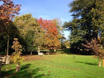 Arboretum automne