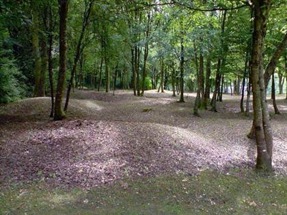 foret verdun