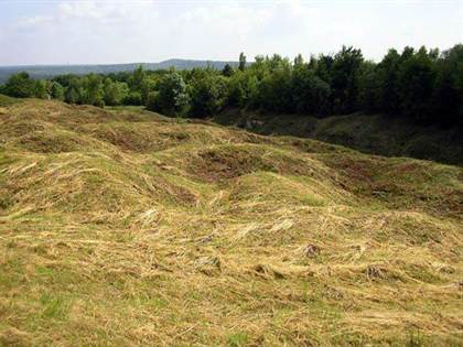 Fort de Douaumont (Photo: SCD / HpT)