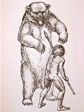 L'Homme face à l'ours des cavernes Ours_combat