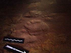 Empreintes d'ours des cavernes (Mine du Pouech d'Unjat, Ariège) Traces_pas_ours_cavernesmine_du_Pouech_dUnjat_26000