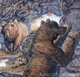 Reconstitution d'ours des cavernes ours1