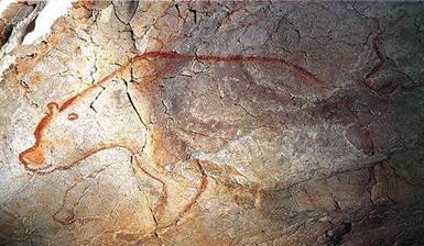 Ours des cavernes (grotte Chauvet) ours_chauvet3bis